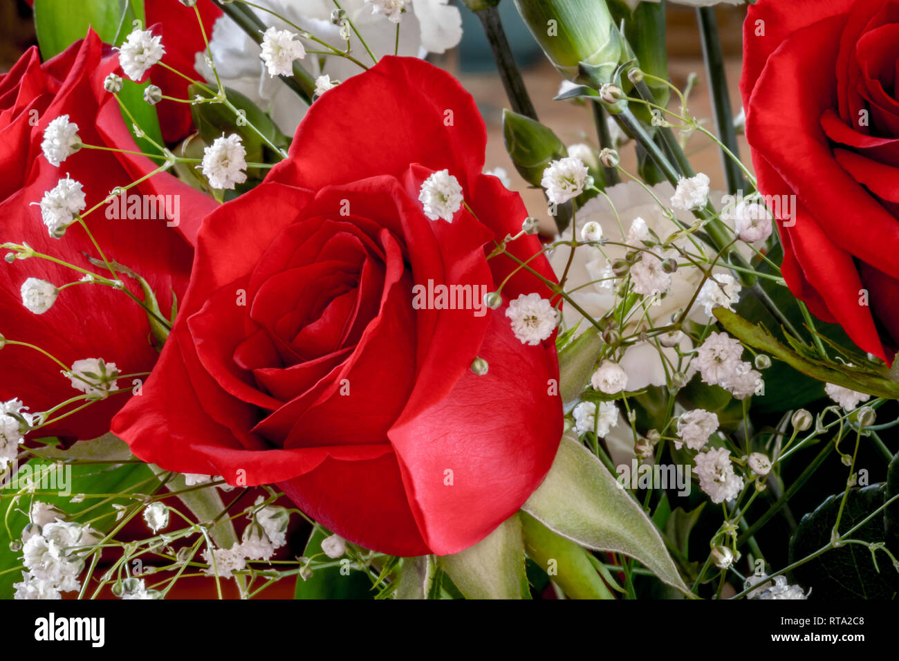 Red Roses, White Carnations with Baby's Breath Stock Photo Alamy