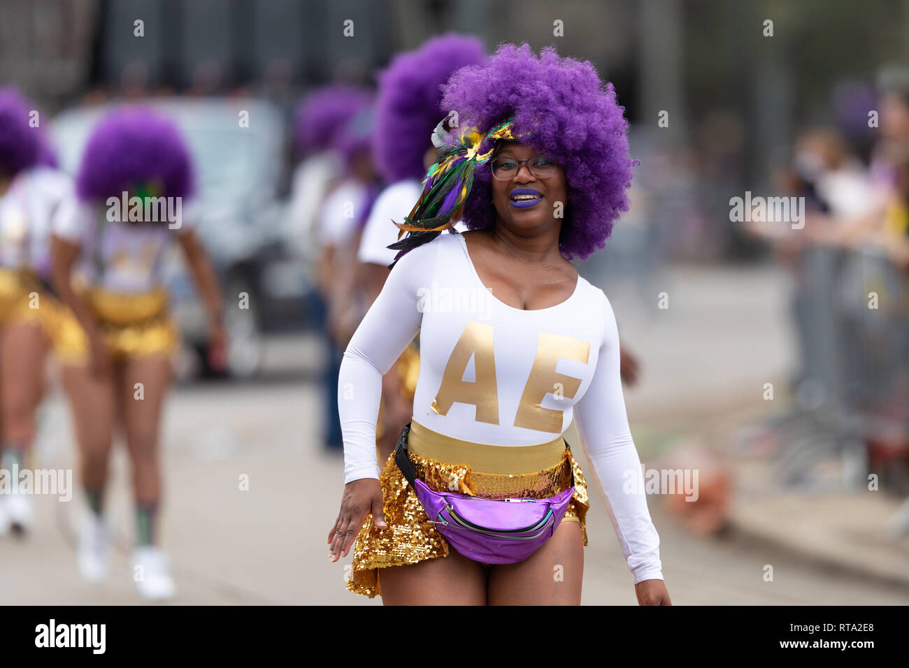 mardi gras steppers
