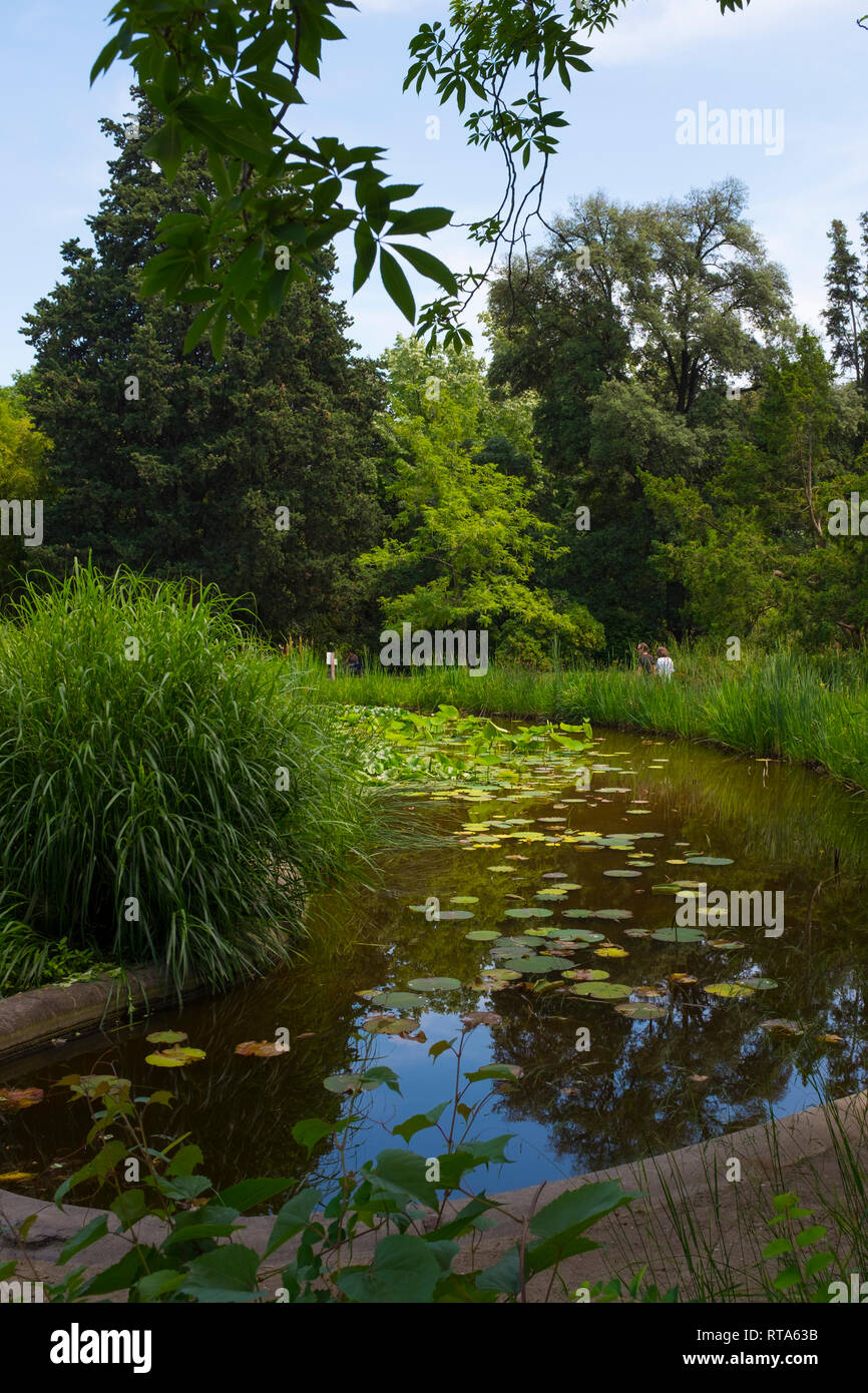 Pond in the Jardin des plantes de Montpellier - Botanic Gardens, Montpellier, France Stock Photo