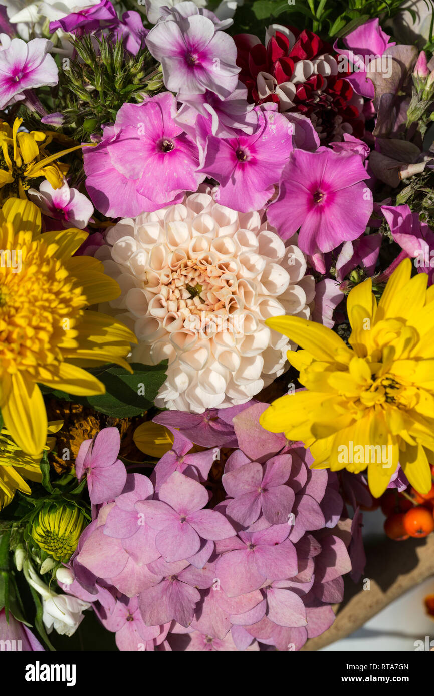beautiful bouquets of flowers and herbs Stock Photo Alamy