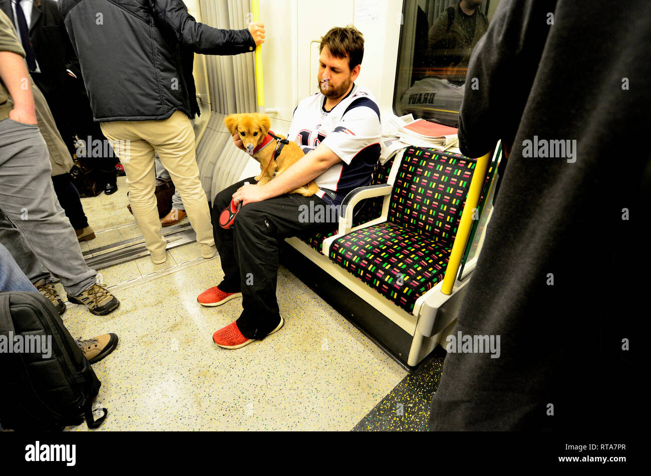 London, England, UK. Man with a small dog on a tube train, London
