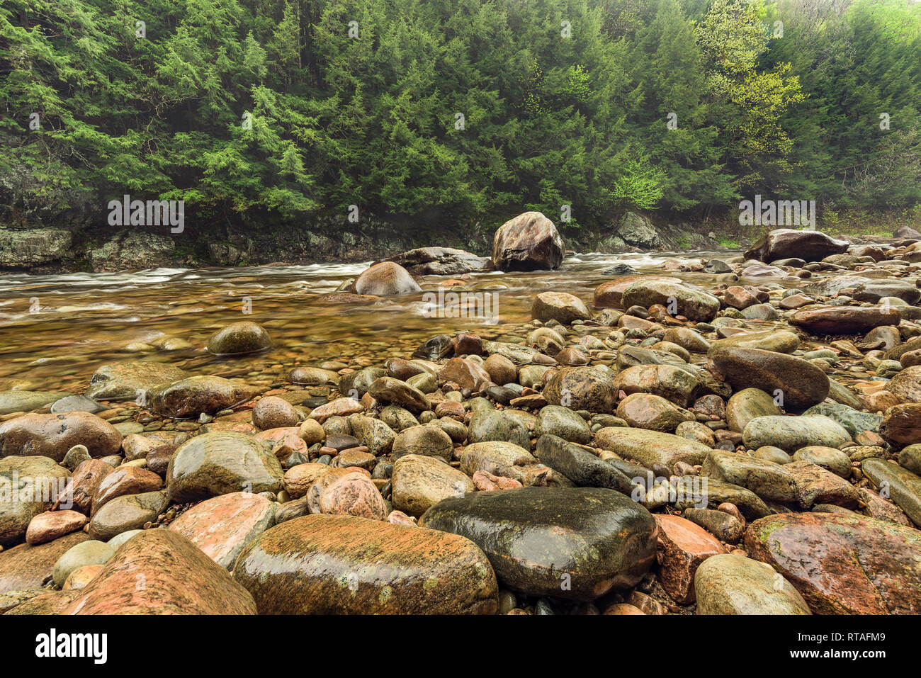 Sacandaga River in spring, Adirondack Mountains, Hamilton Co., NY Stock Photo