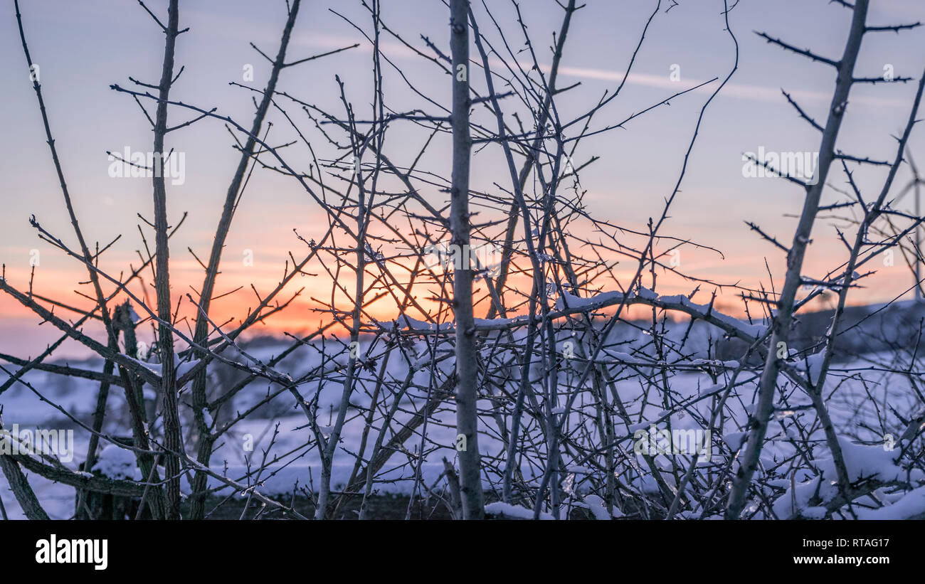 Sunset in winter lanscape Stock Photo