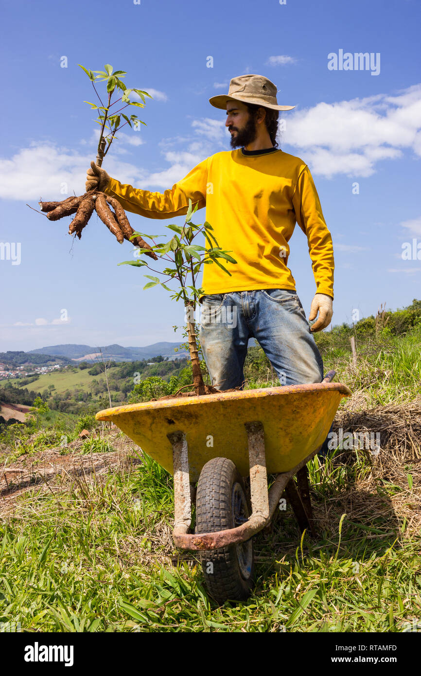 Happy farmer holding proudly his produce of cassava Stock Photo - Alamy