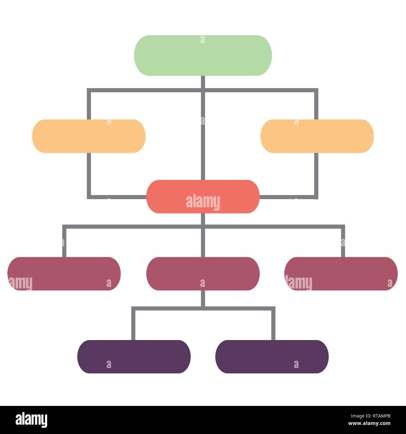 Rta Organization Chart