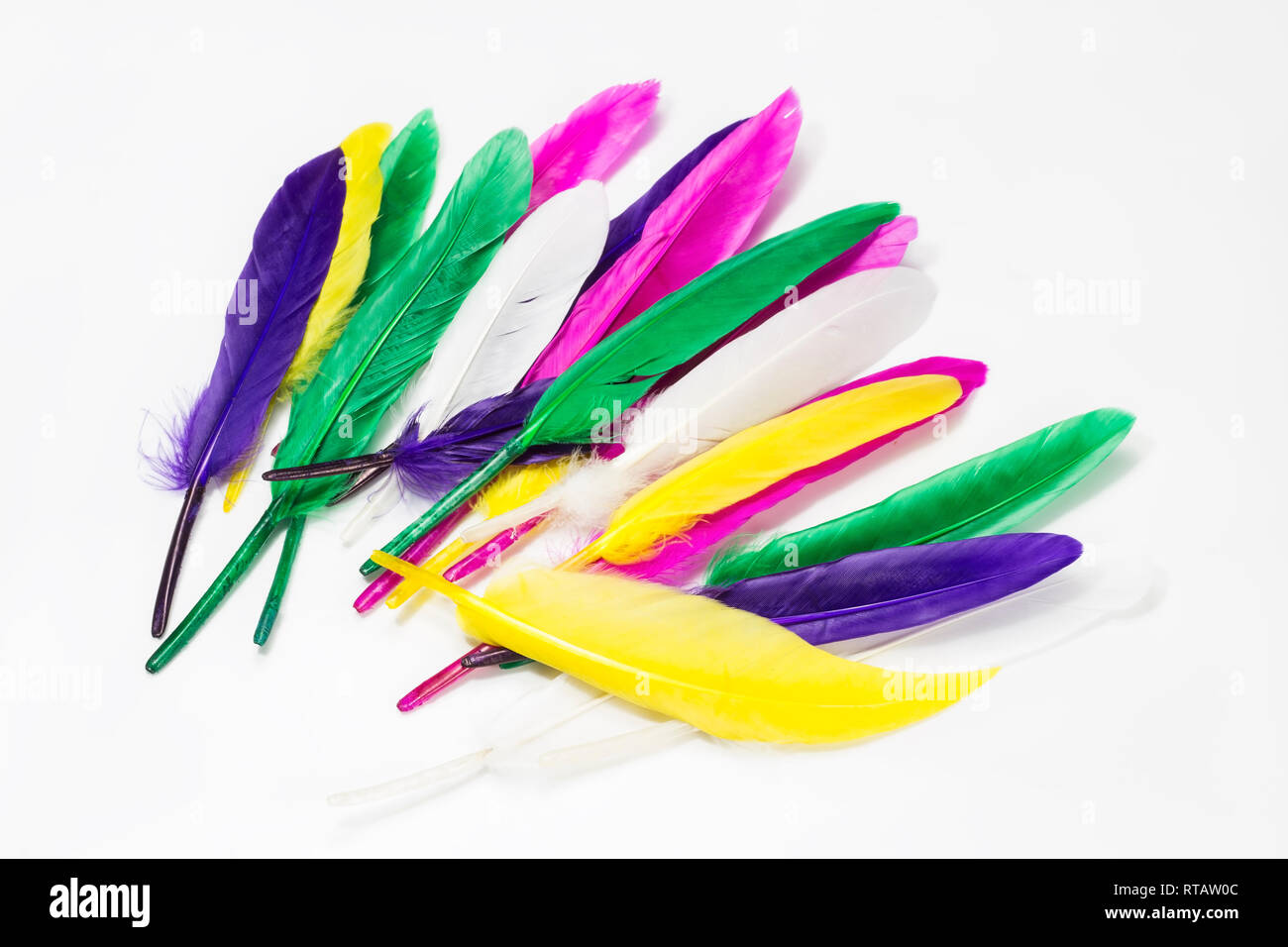 Colorful feathers isolated on white background Stock Photo