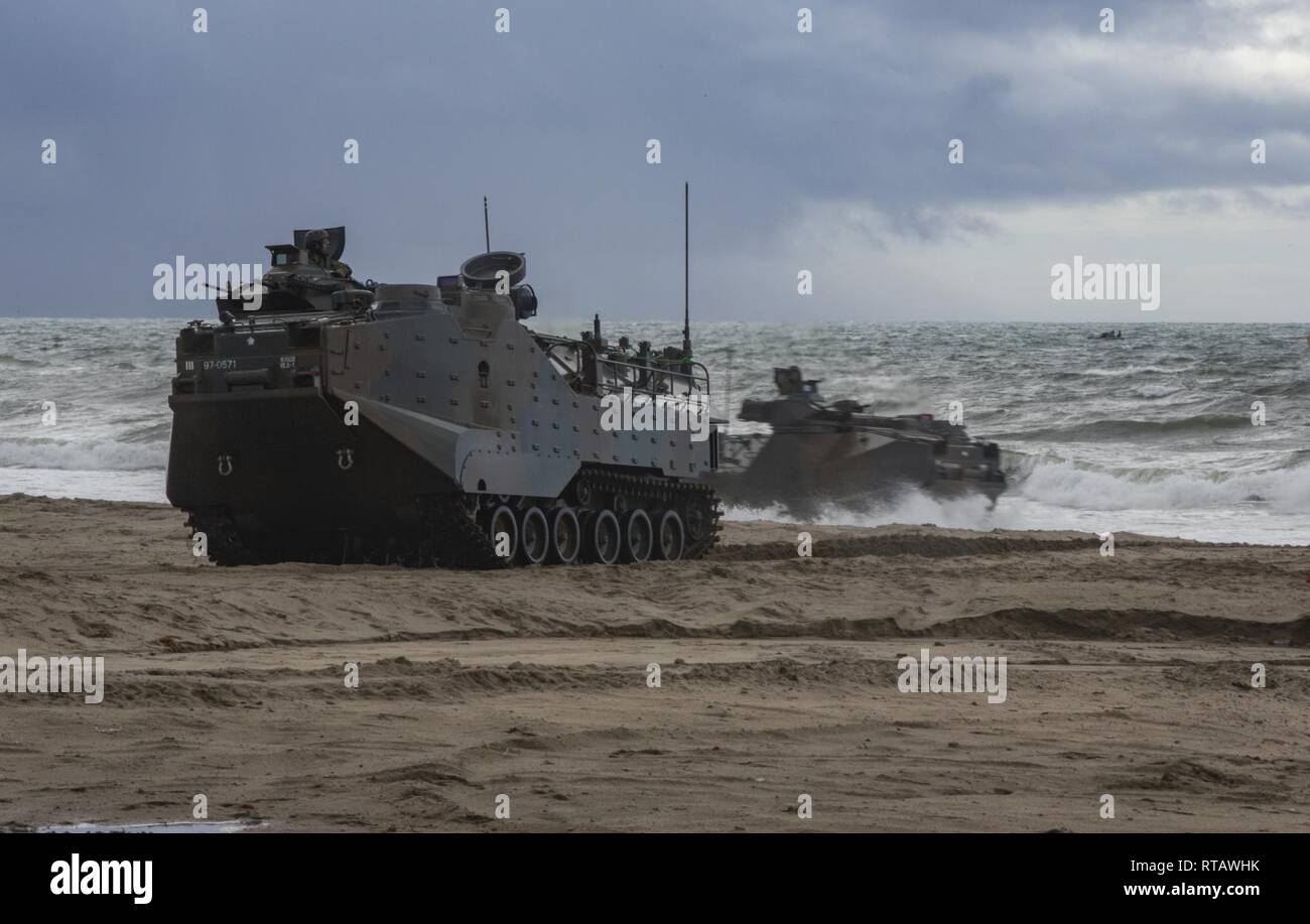 U.S. Marines assigned to 1st division and Japan Ground Self-Defense Force (JGSDF) Soldiers with 1st Amphibious Rapid Deployment Regiment, come ashore in assault amphibious vehicles during an amphibious landing exercise for Iron Fist 2019, Feb. 4, on U.S. Marine Corps Base Camp Pendleton, CA. Exercise Iron Fist is an annual, multilateral training exercise where U.S. and Japanese service members train together and share techniques, tactics and procedures to improve their combined operational capabilities. Stock Photo