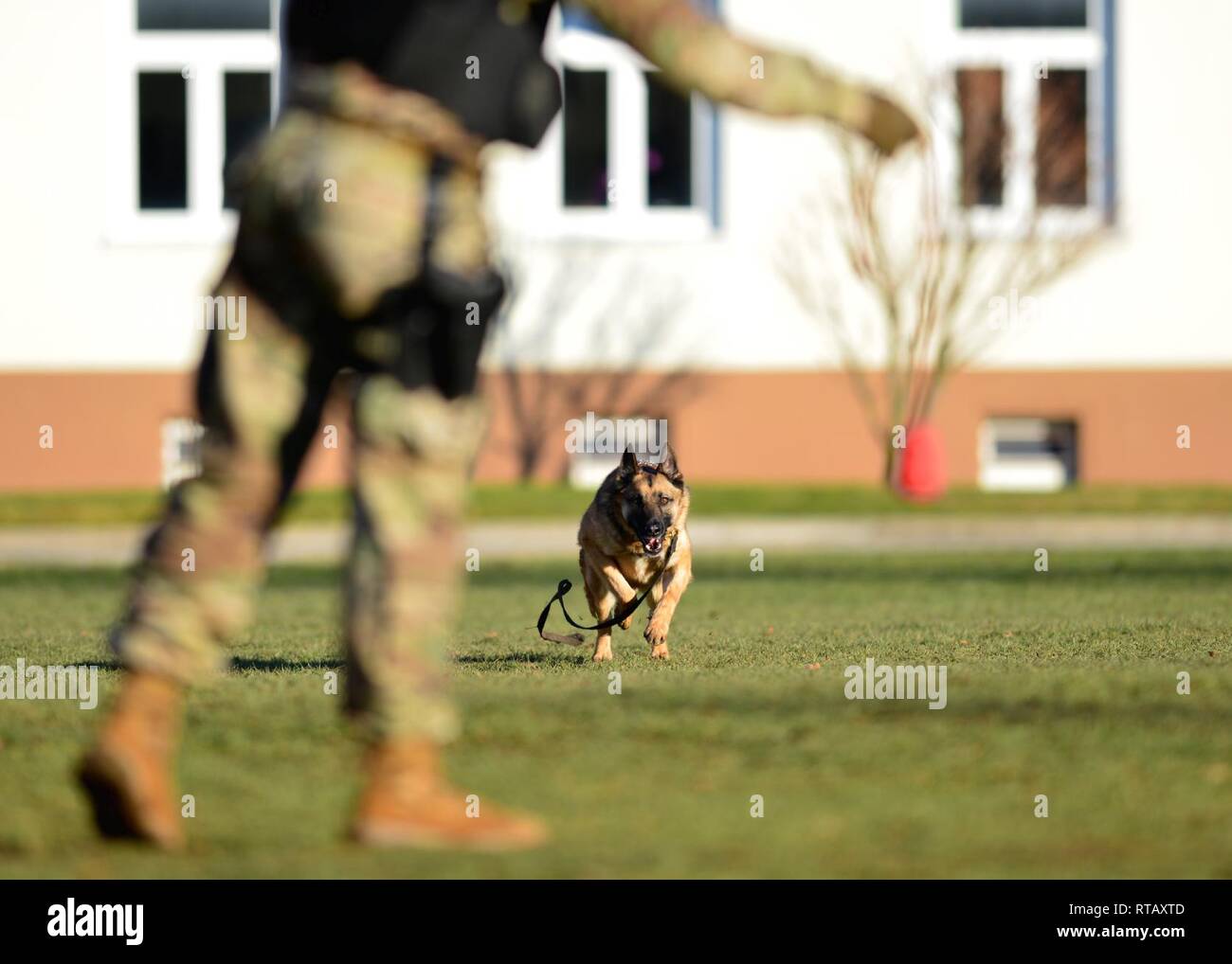 U.S. Army Pfc. Jermaine Lewis, 100th Military Police (Military Working