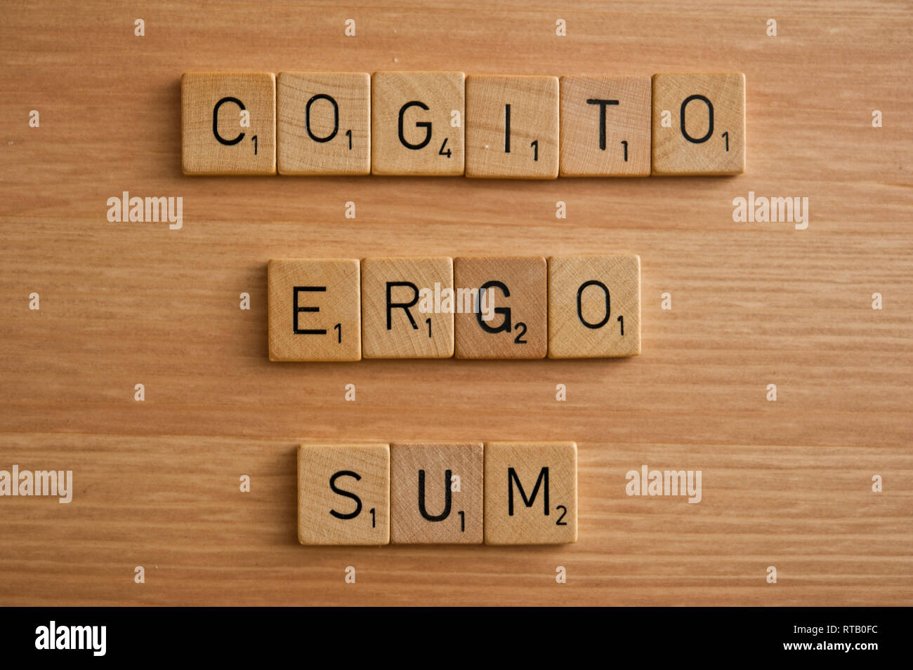 Cogito Ergo Sum Stock Photo