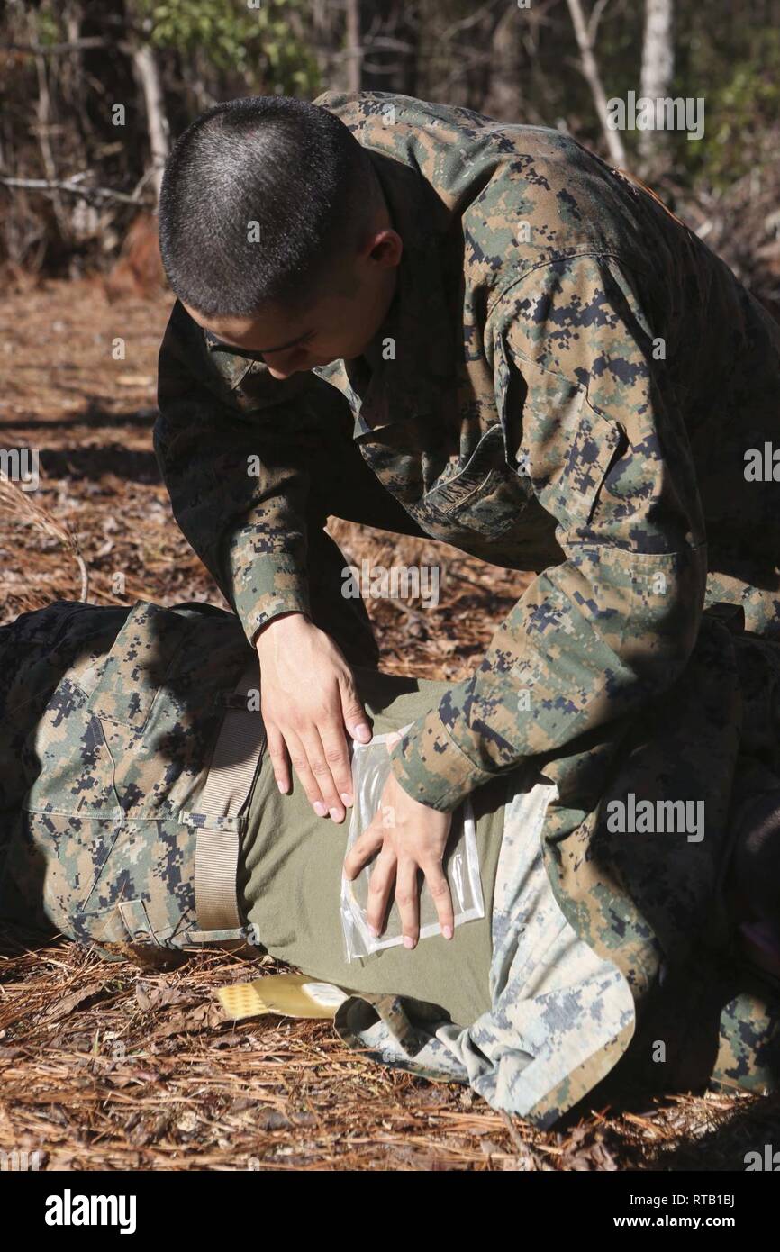 Marine Lance Cpl. Jose Jara applies a chest seal to a staged patient during a Tactical Combat Casualty Care course on Camp Lejeune, North Carolina, Feb. 6, 2019. TCCC teaches Marines and Sailors lifesaving skills and enhances their ability to aid a casualty while deployed. Jara is a chemical, biological, radiological, and nuclear defense specialist with the 24th Marine Expeditionary Unit. Stock Photo