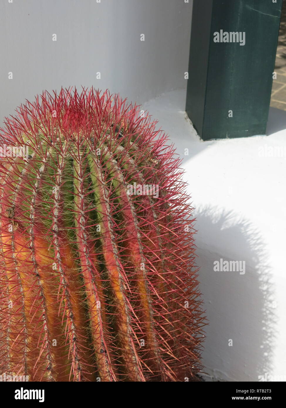 Tall oblong hires stock photography and images Alamy