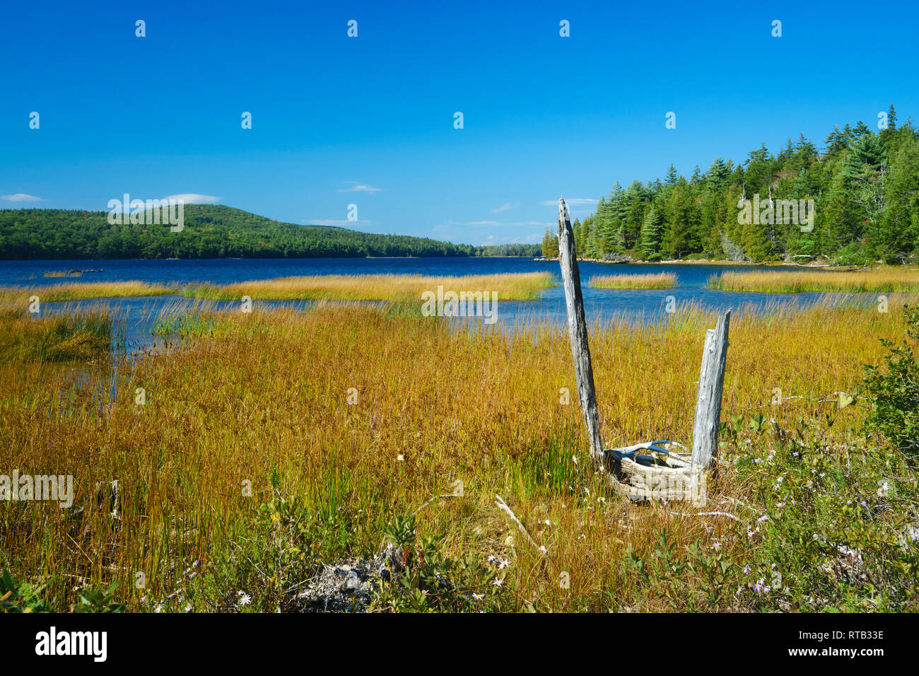 Eagle Lake seen from the grassy shore on a sunny afternoon. Acadia National Park, Maine, USA. Stock Photo