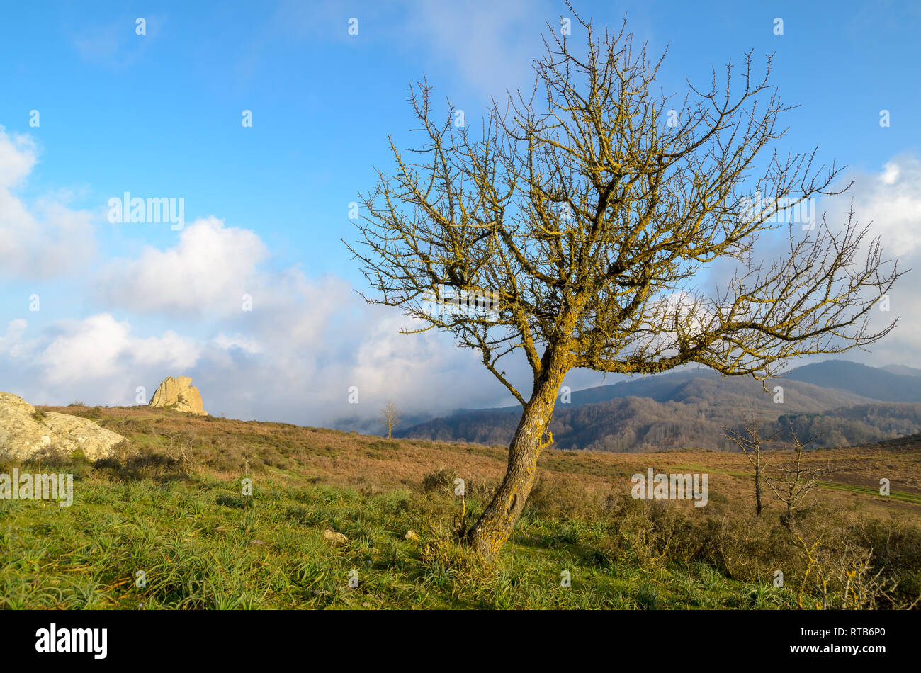 Rock formations of Argimusco near Montalbano Elicona, Sicily Italy Stock Photo