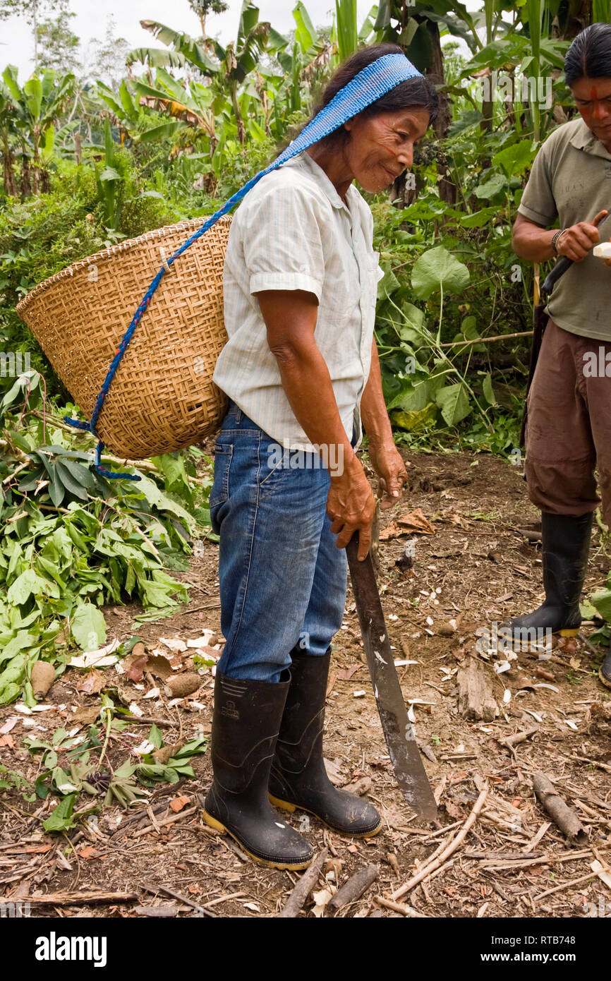 woman carrying basket, strap on head; machete; indigenous Amazon tribe;  facial perspiration drops, hot, humid, rubber boots, Napo River; Amazon  Tropic Stock Photo - Alamy