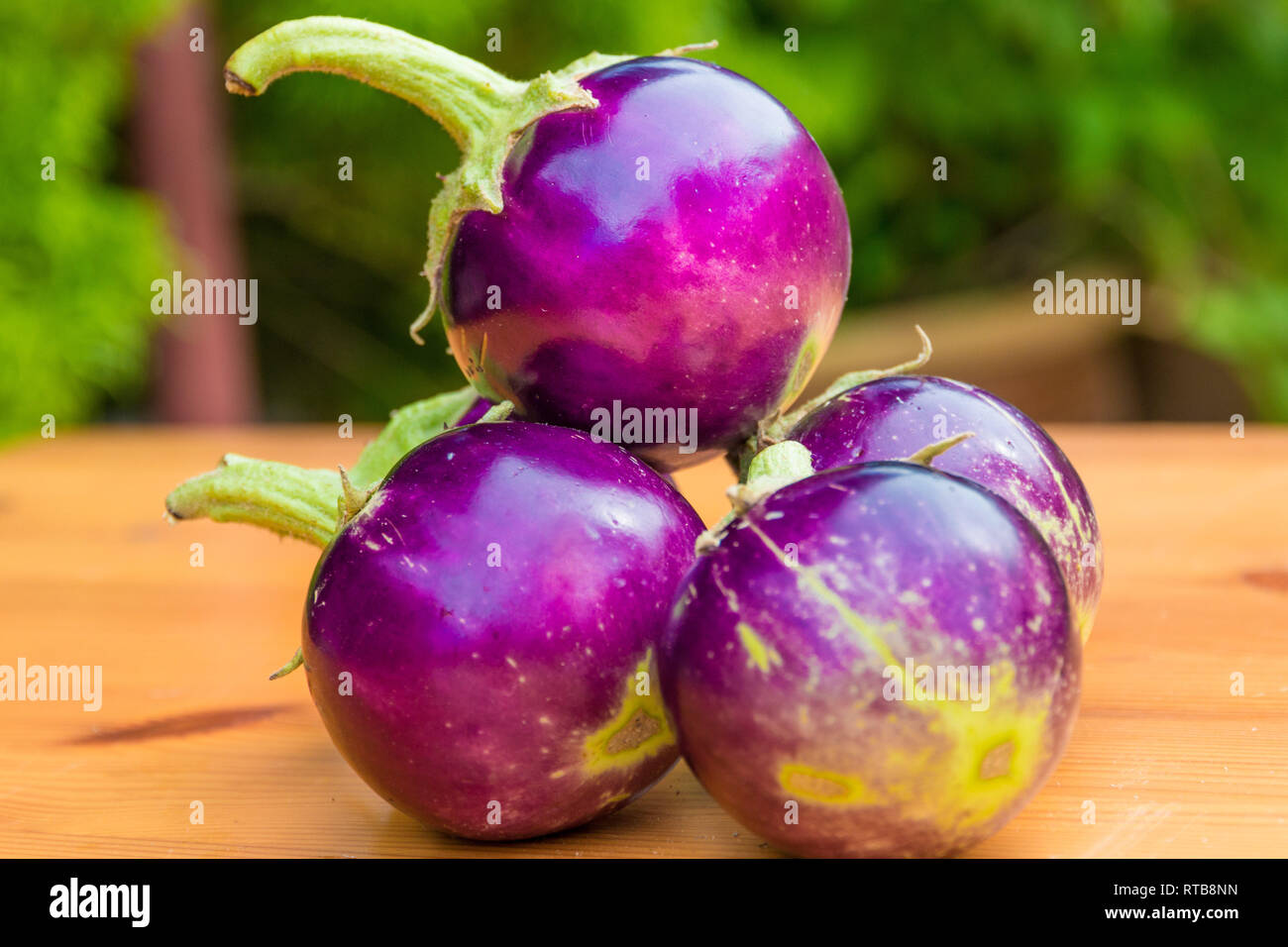 Great close-up view of a bunch of small round purple Thai eggplants (Solanum melongena) with their green stems, stacked on top of each other on a... Stock Photo
