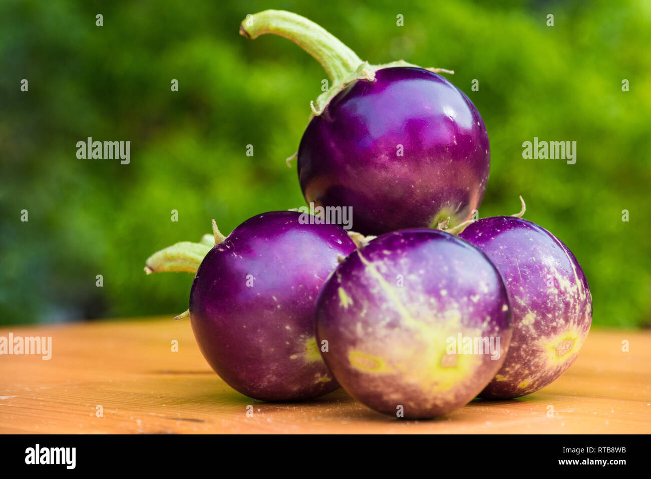 Nice close-up view of a bunch of small round purple Thai aubergines (Solanum melongena) with green stems, stacked up on a wooden table. The fruits can... Stock Photo