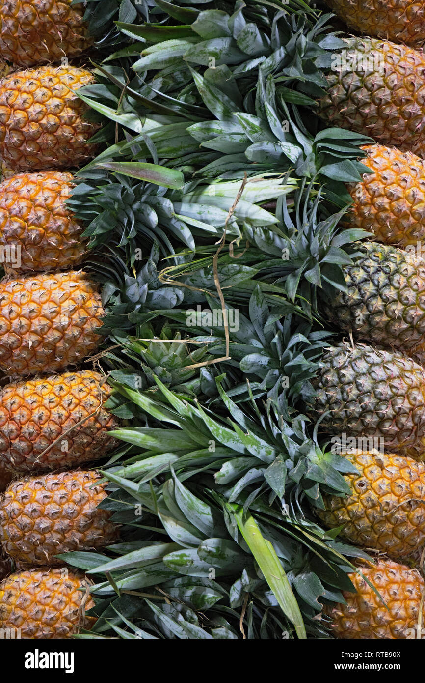Pineapples inside the central market of Yangon, Myanmar (Burma). Stock Photo