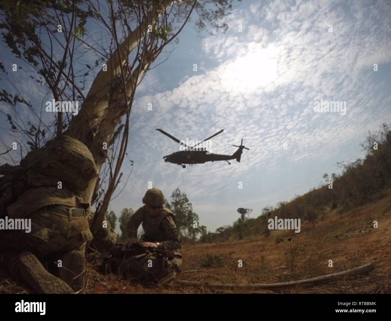 Jungle hires stock photography and images Alamy