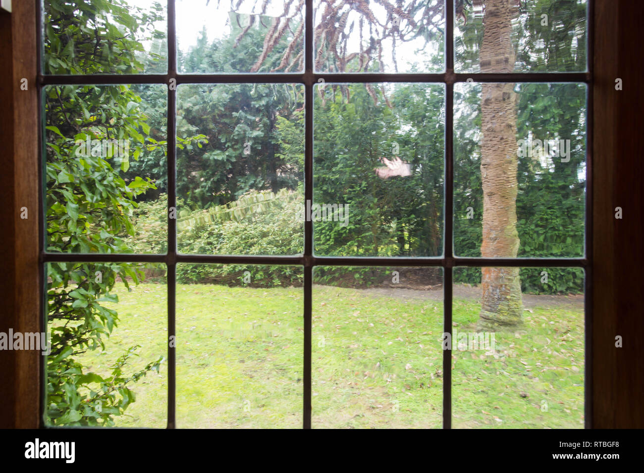 view from the window to the garden, green garden view beauty. Spring Stock Photo