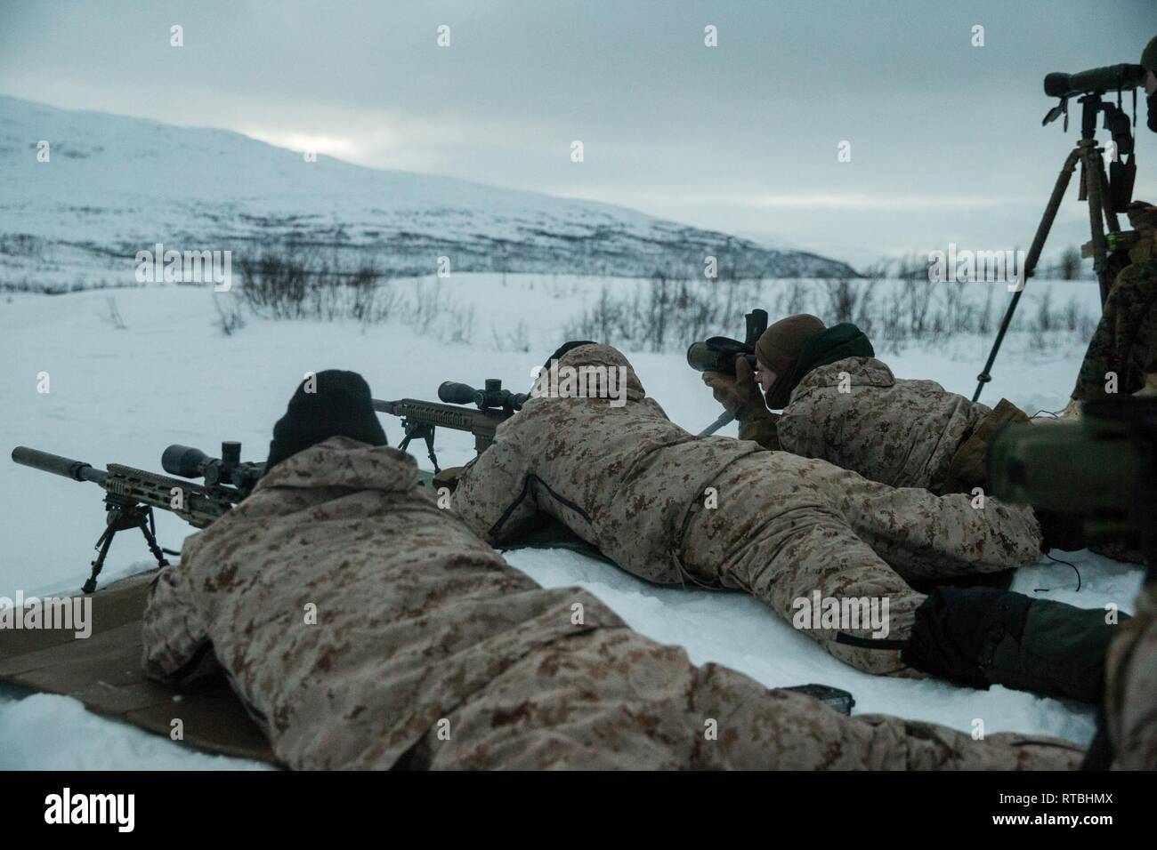 U.S. Marines with Marine Rotational Force-Europe 19.1, Marine Forces Europe and Africa, aim at a target in Setermoen, Norway, Feb. 7, 2019. This training increased MRF-E Marines’ proficiency at cold-weather and mountain-warfare tactical operations in cold-weather environments. Stock Photo
