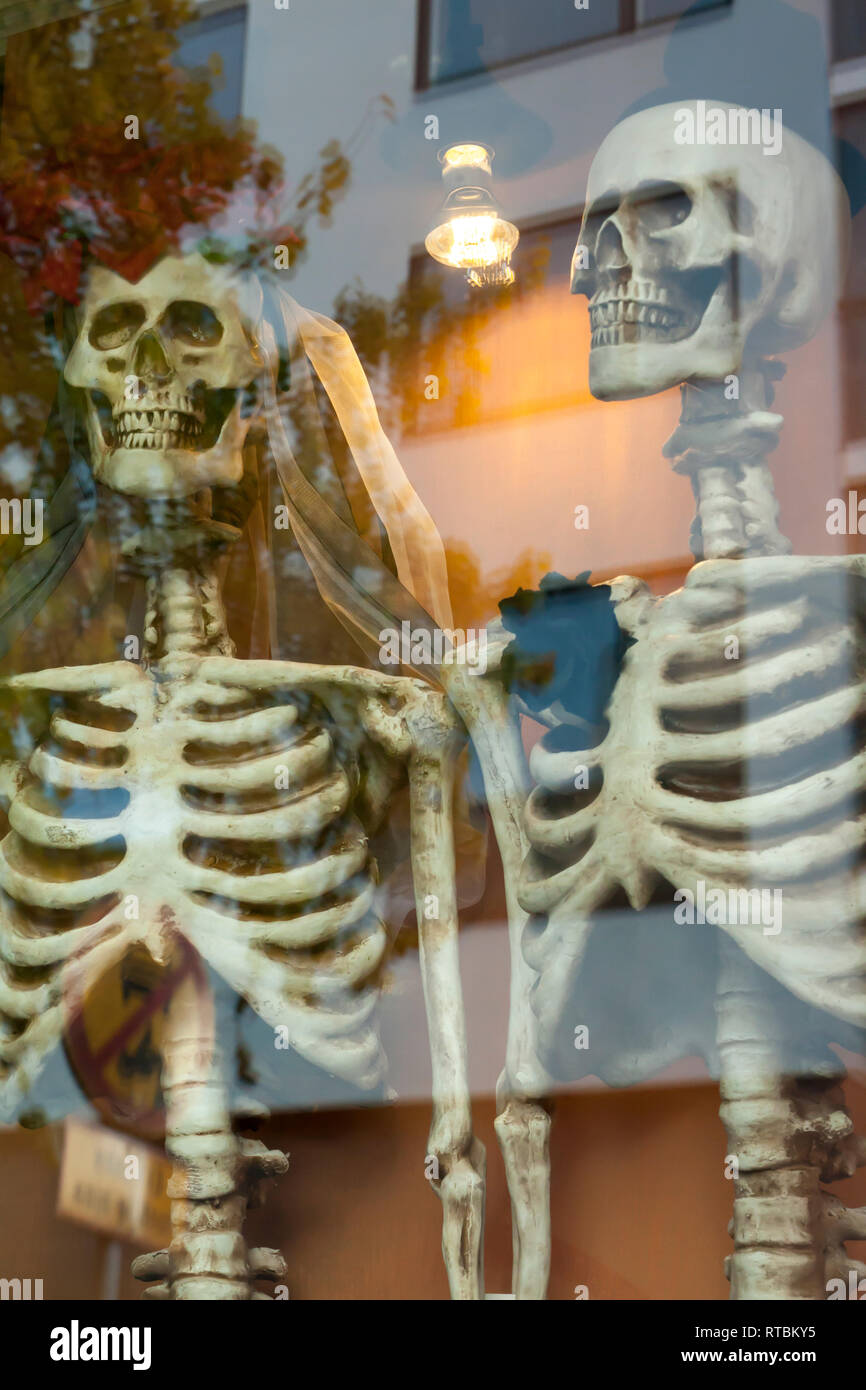 Two dressed up for honeymooners skeletons on the window. Stock Photo