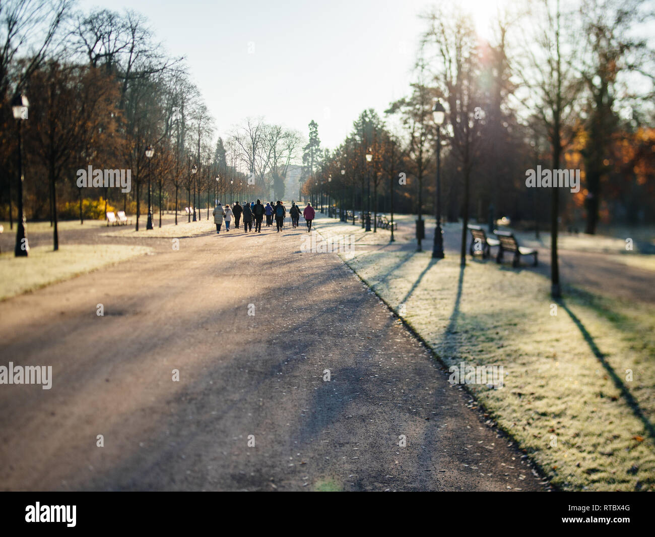 Rear view of group of seniors hi-res stock photography and images - Alamy