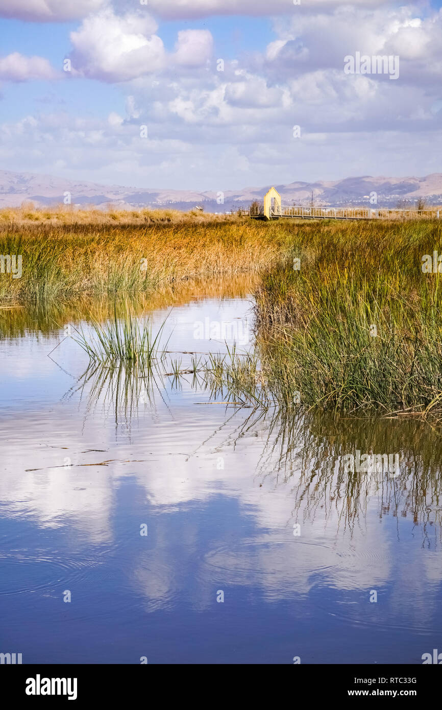 Marsh landscape, south San Francisco bay, Alviso Marina, California Stock Photo