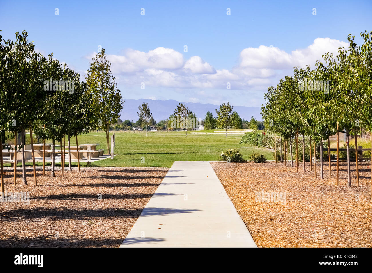 Meadow and Picnic spot, Martial Cottle Park, San Jose, California Stock
