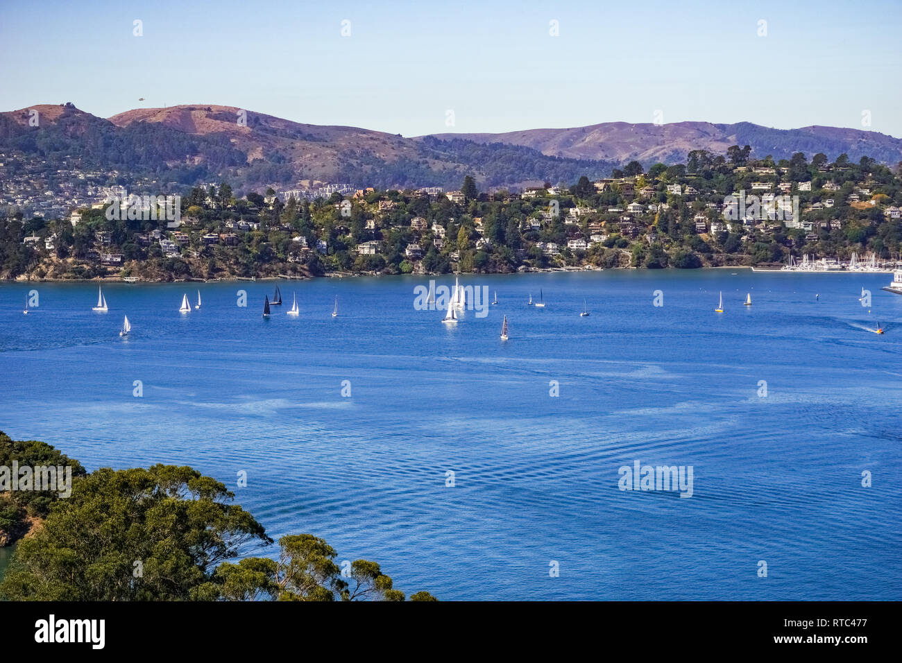 Speed Dating South In Tiburon California