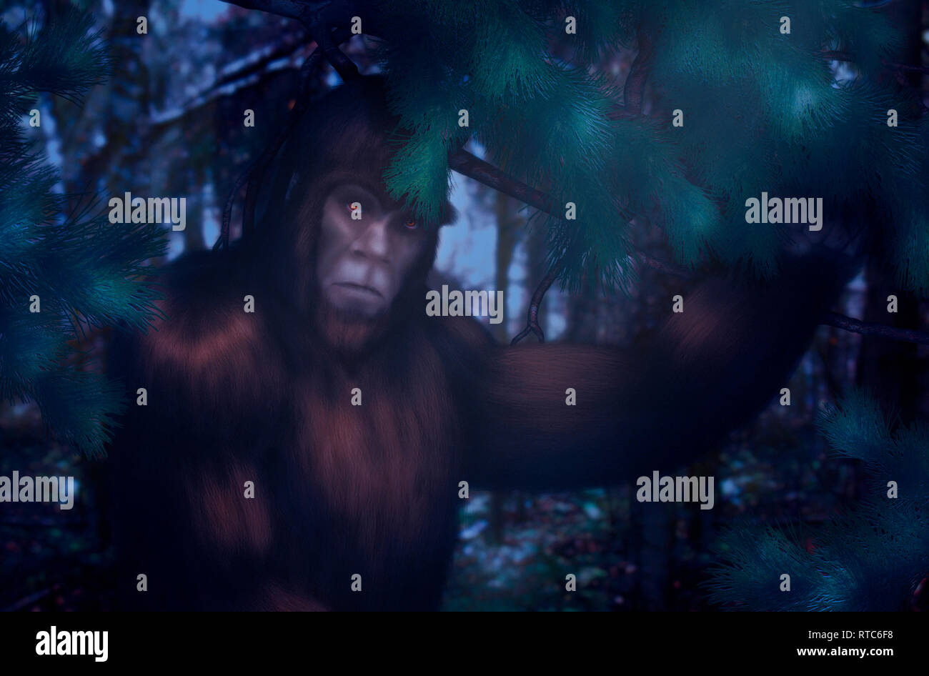 Bigfoot hiding behind a pine branch in the forest on a moonlit night. Stock Photo