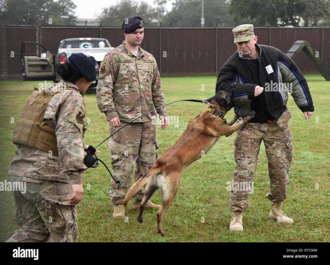 are dogs allow in us air force base