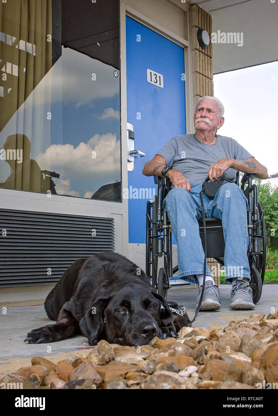 Does Motel 6 Take Dogs