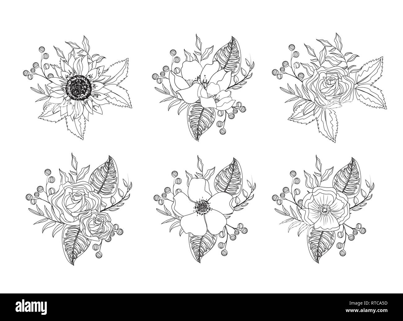 set flowers and roses plants with leaves Stock Vector Image & Art - Alamy