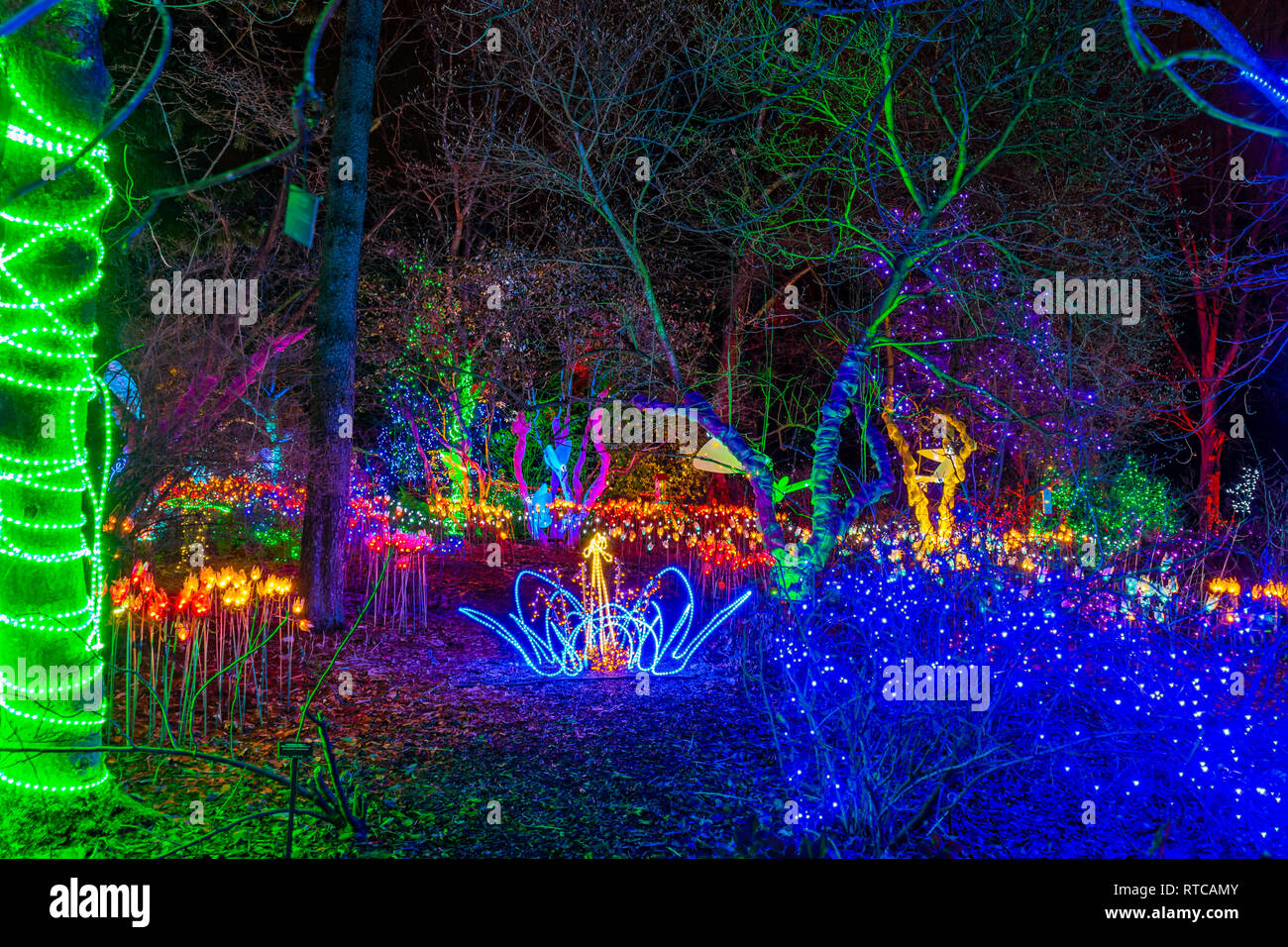 Van dusen botanical gardens hires stock photography and images Alamy