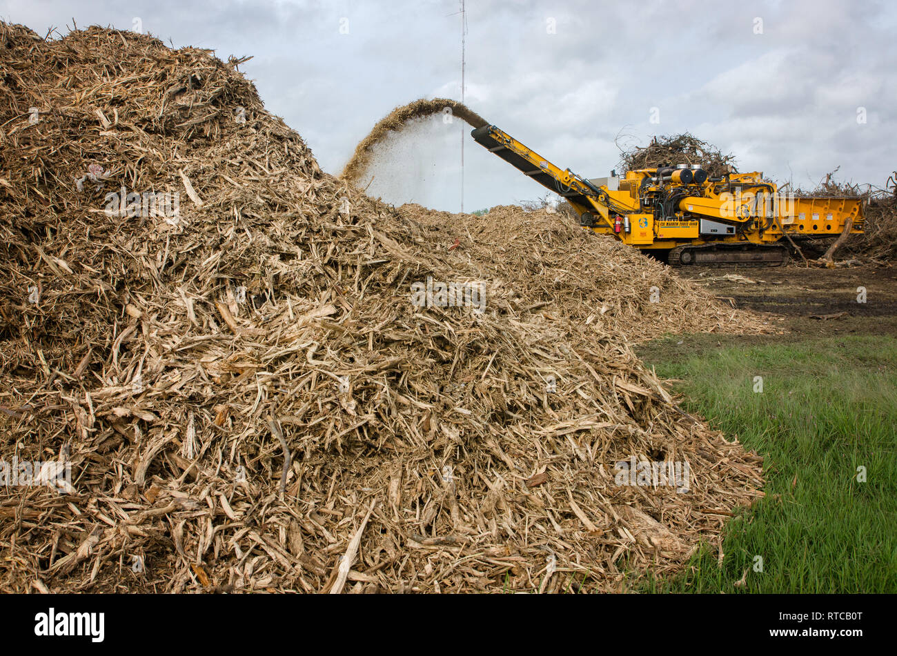 Storm debris is chipped and shredded at the Refugio County Fairgrounds after Hurricane Harvey, Oct. 4, 2017, in Refugio, Texas. Stock Photo