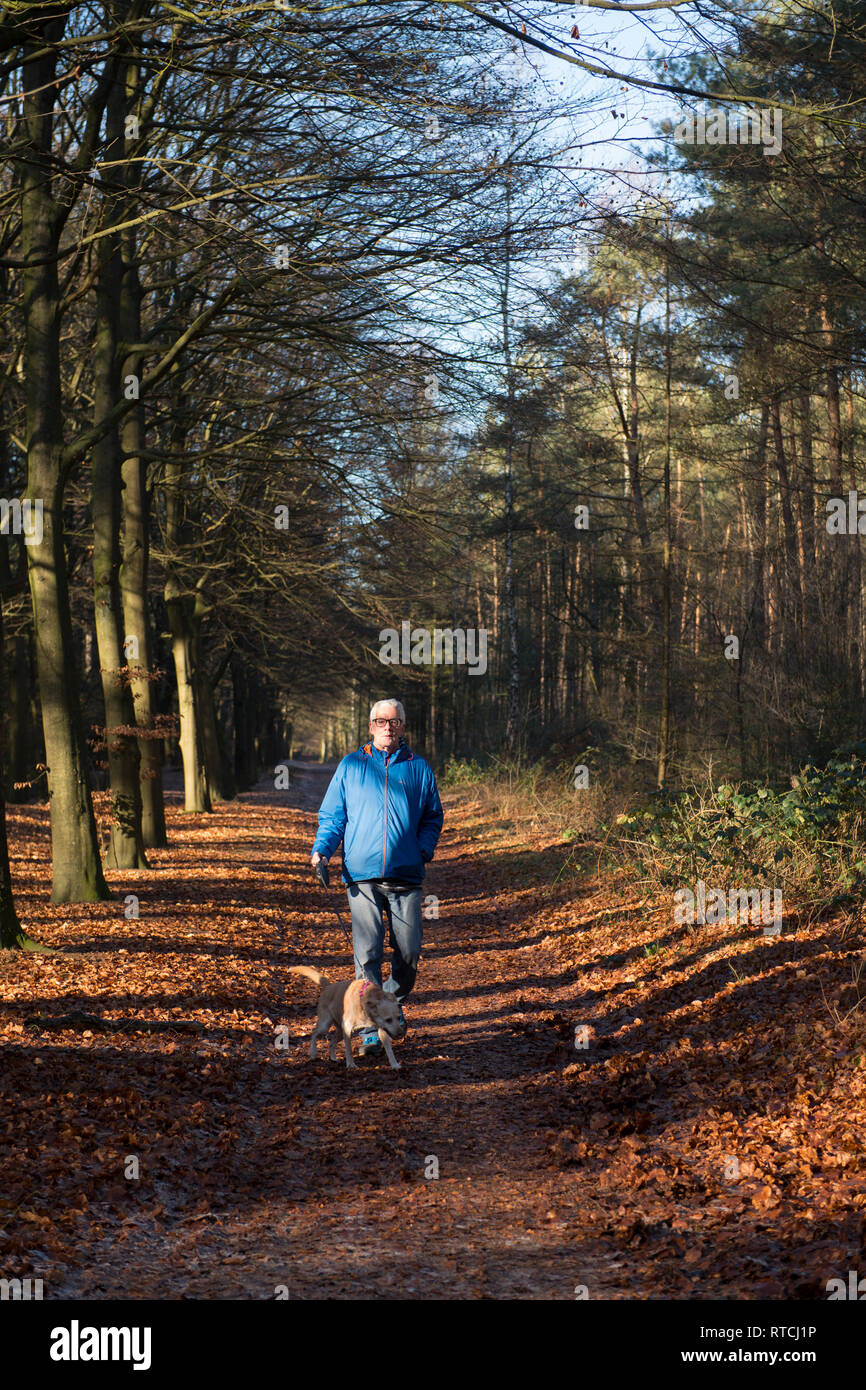 Older man walking dog in forest hi-res stock photography and images - Alamy