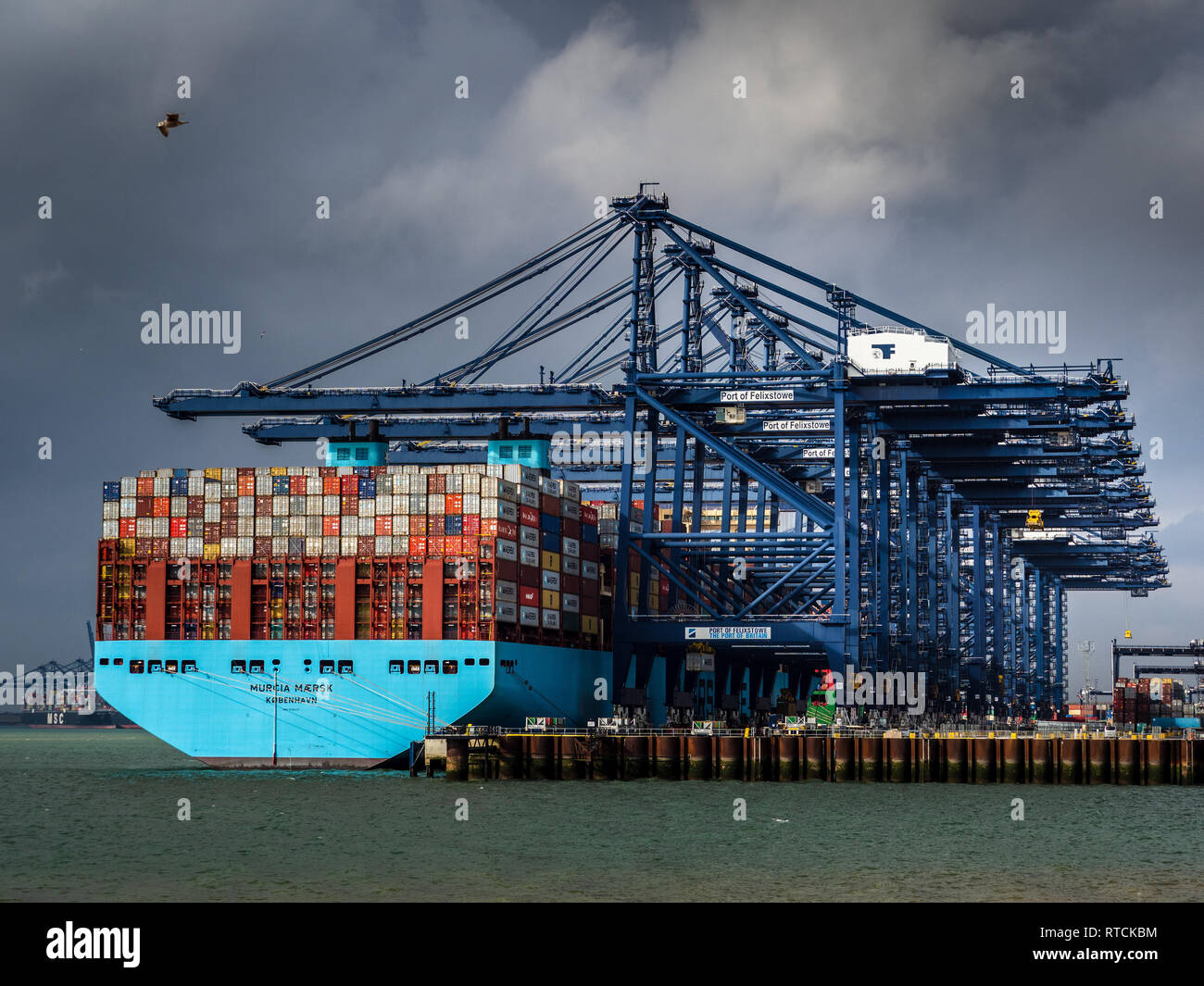 UK Foreign Trade - Shipping containers being loaded and unloaded from a Maersk ship in Felixstowe. UK's largest Container Port on the East coast Stock Photo