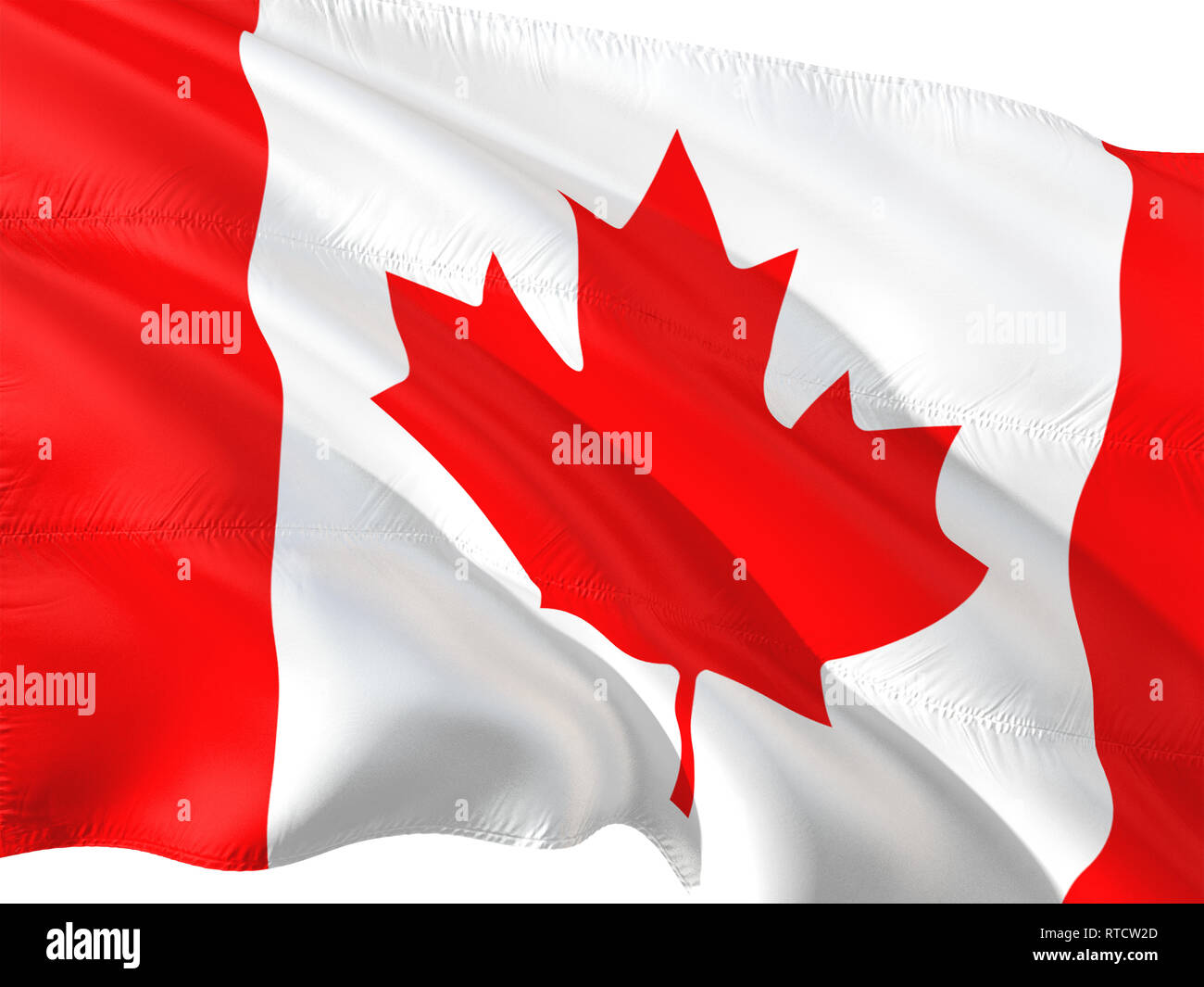 Flag of Canada waving in the wind, isolated white background Stock ...