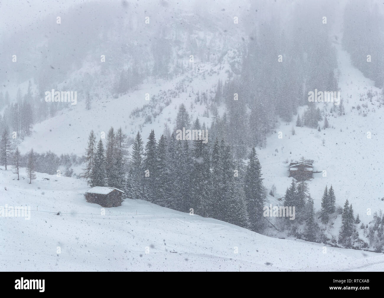 Dischma valley in a heavy snowstorm, Davos,   Schweiz Switzerland *** Local Caption ***  landscape, field, meadow, trees, winter, snow, ice, mountains Stock Photo