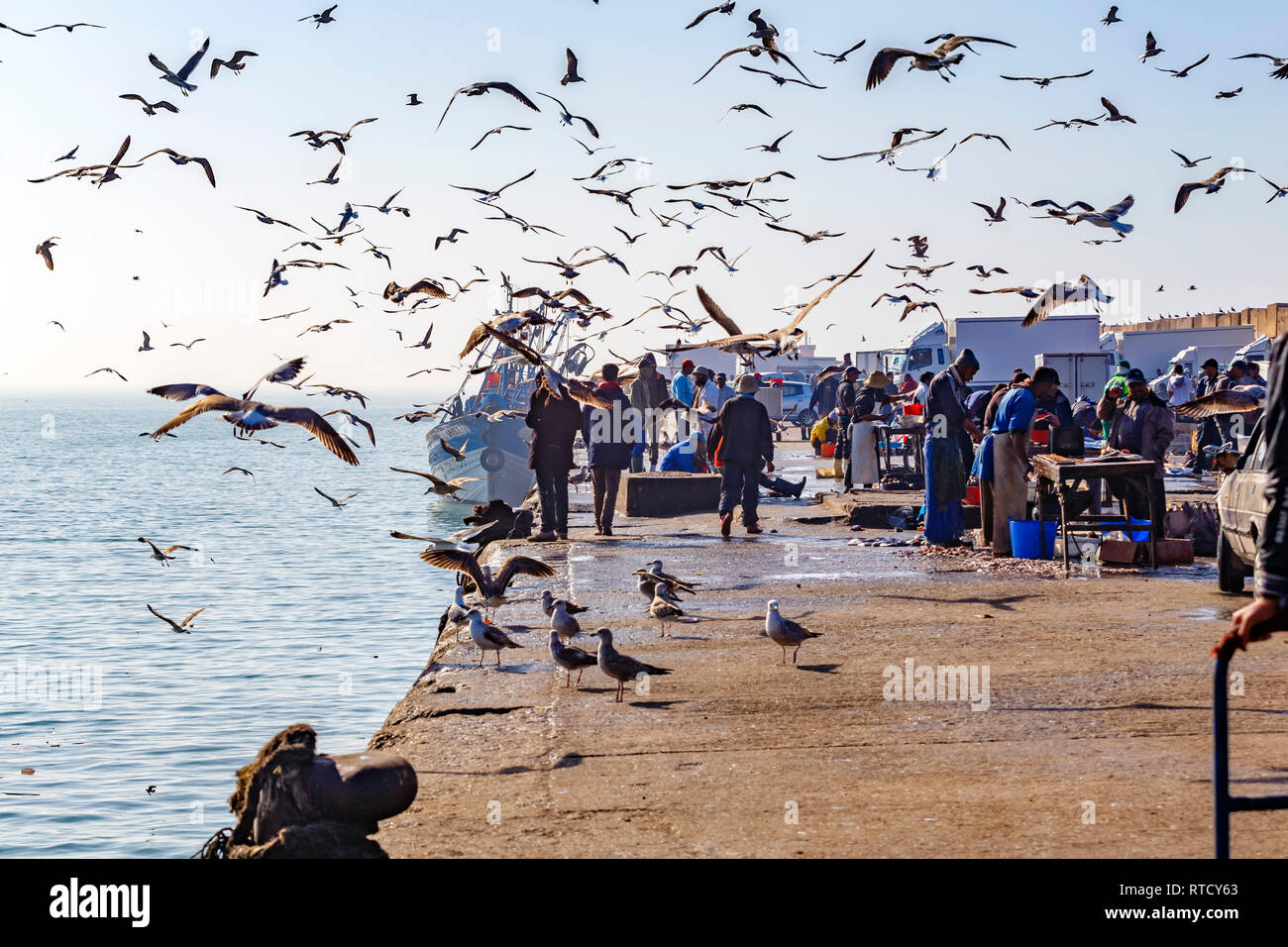 Fish are gutted and offered for sale on the quay side. The air is full of gulls scavenging the discarded offal Stock Photo