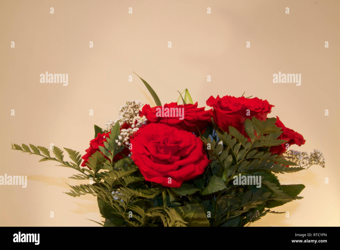 Dubai-Red roses in a glass watered flower vase 1 Stock Photo
