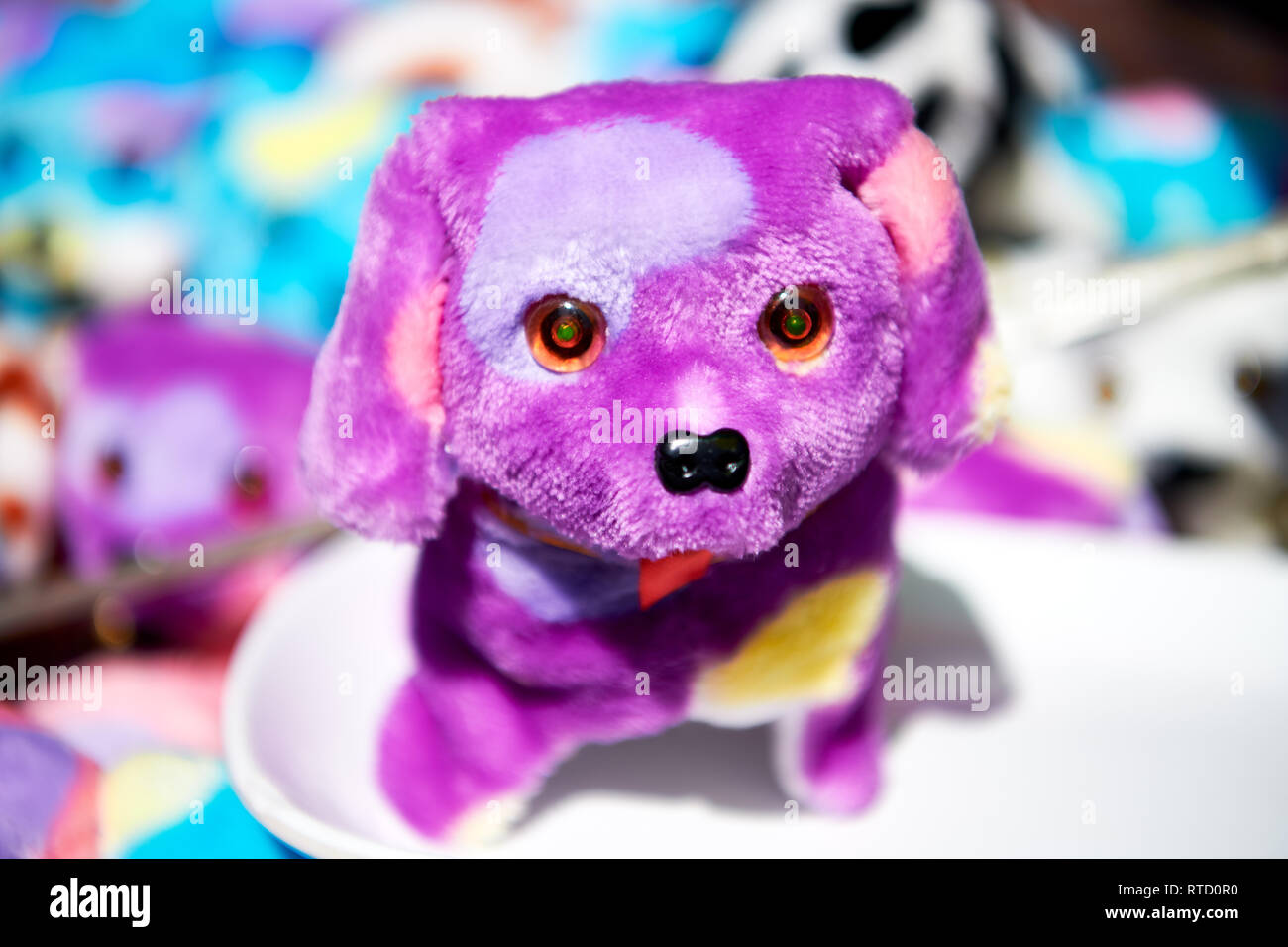 Close-up of one small super cute purple cored stuffed toy dog, standing on a white ground, with other toys out of focus in the background Stock Photo