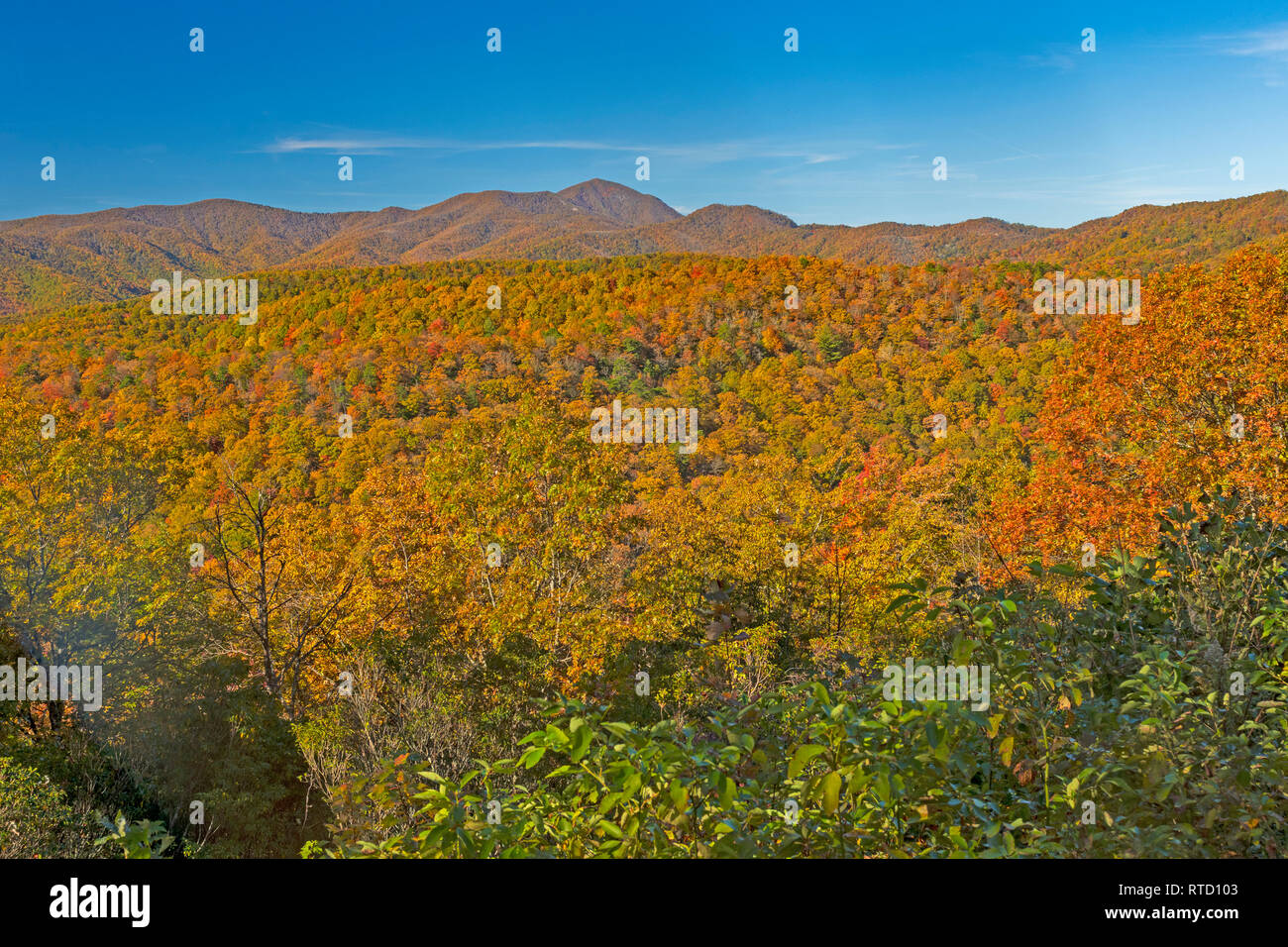 Fall Panorama on the Blue Ridge Parkway near Asheville, North Carolina