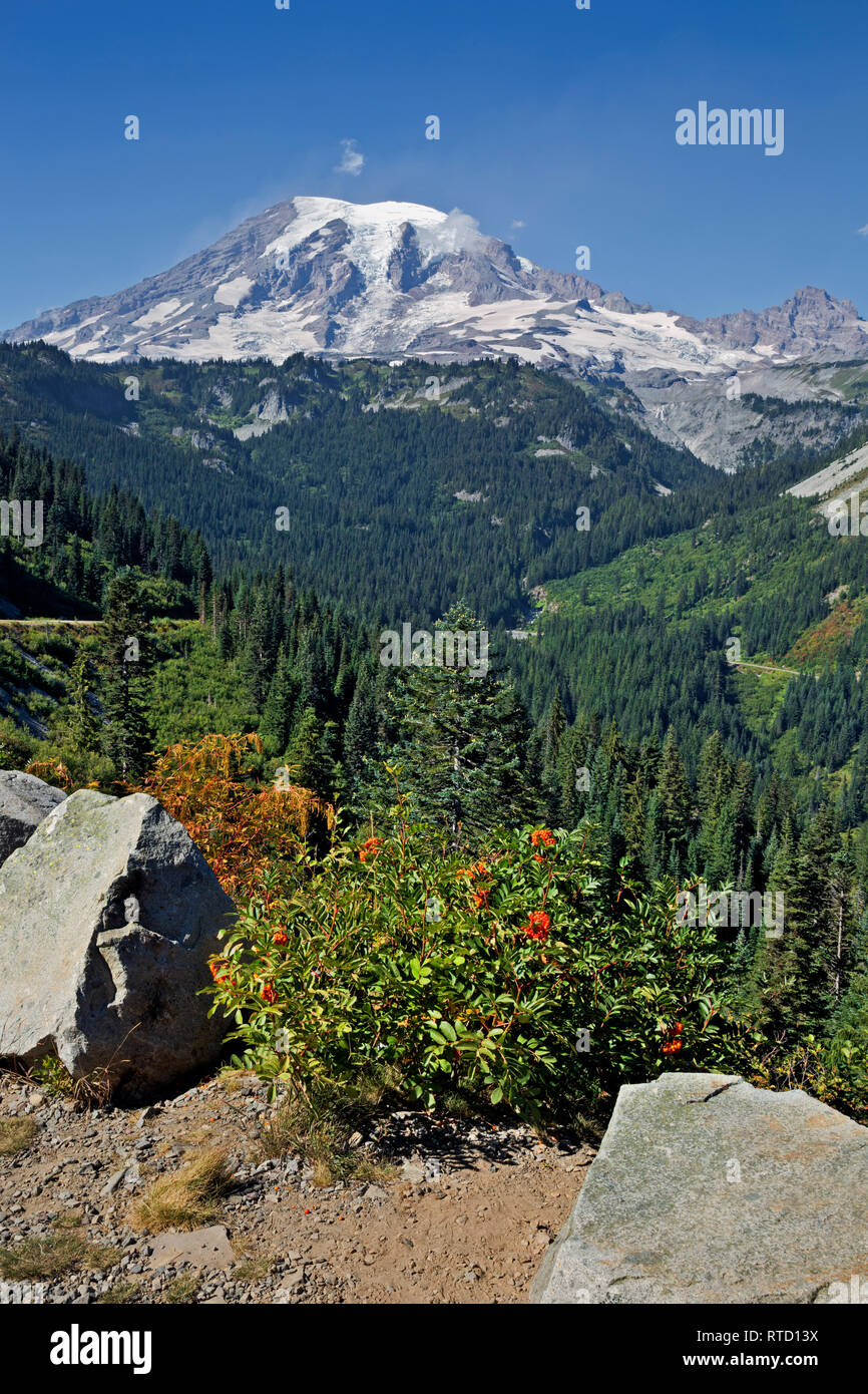 Stevens vertical hi-res stock photography and images - Alamy