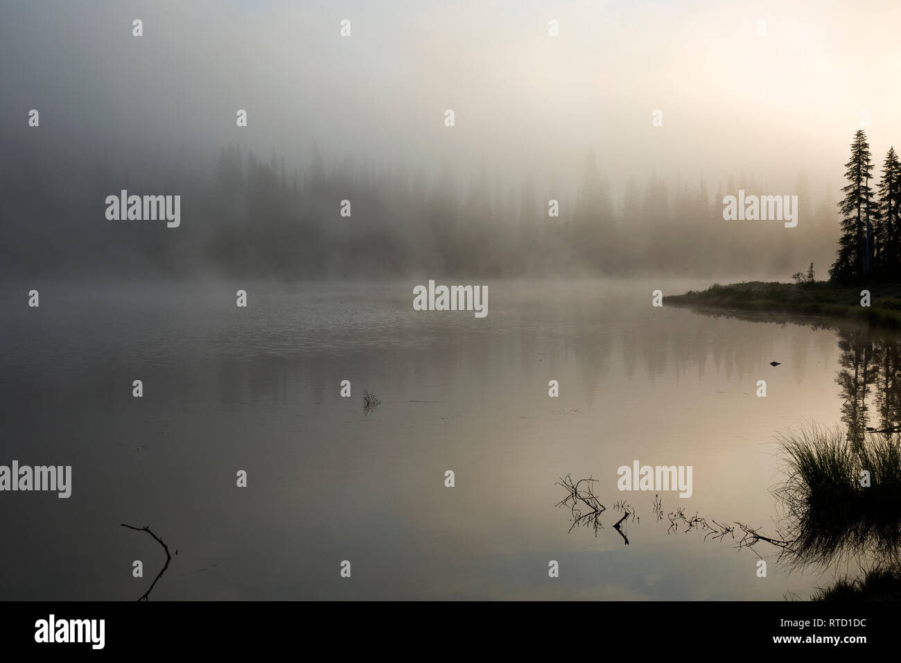 WA15838-00...WASHINGTON - Fog bound Reflection Lakes at sunrise in Mount Rainier National Park. Stock Photo