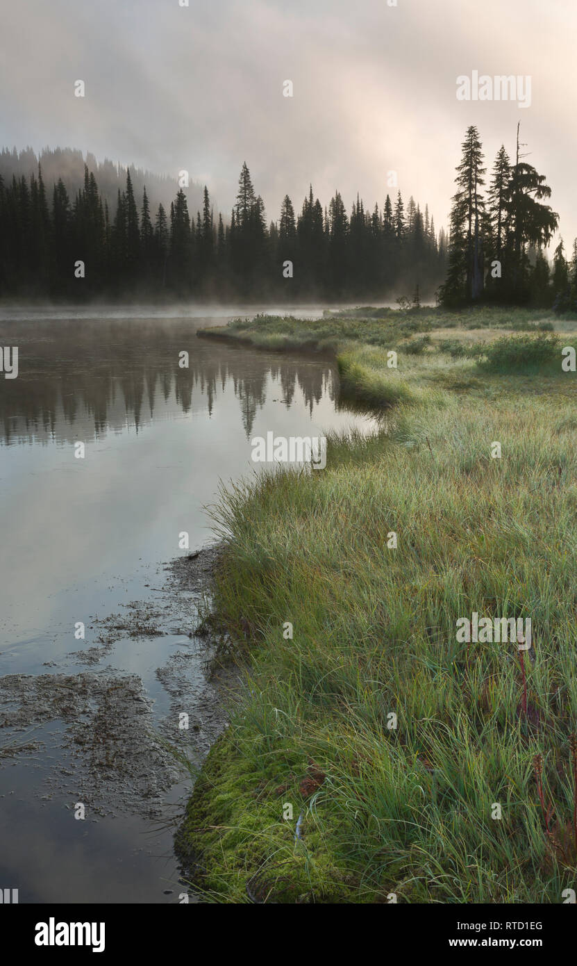 WA15841-00...WASHINGTON - Mist clearing in the early morning hours at Reflection Lakes in Mount Rainier National Park. Stock Photo