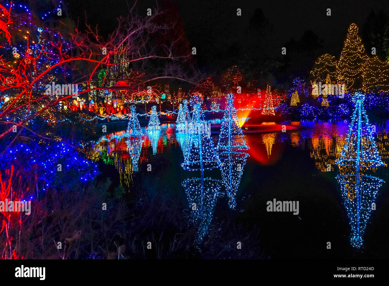 Blue Red Christmas Trees Lights Reflection Lake Van Dusen Garden