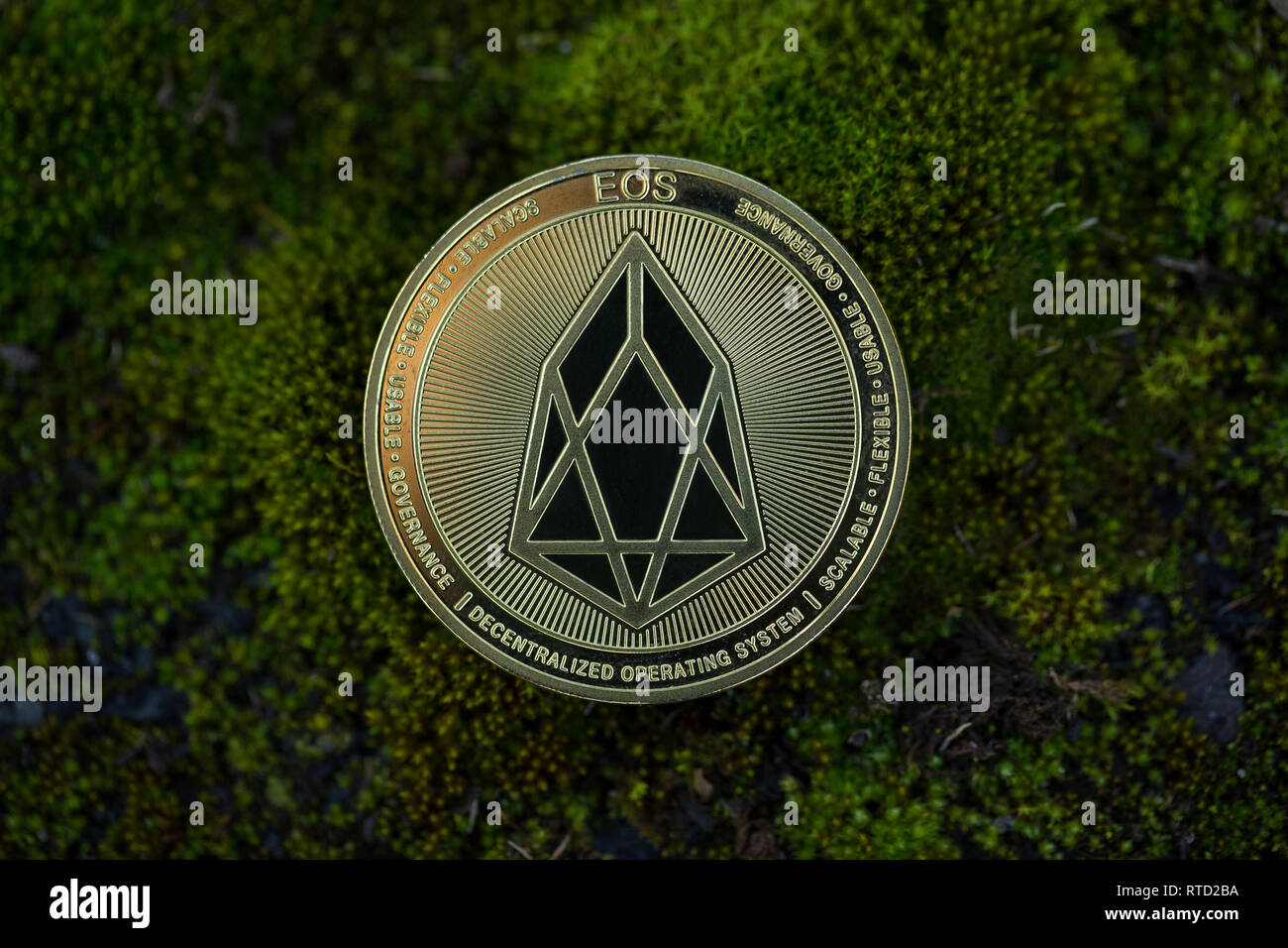 Eos cryptocurrency physical coin placed on the moss. Macro shot. Stock Photo