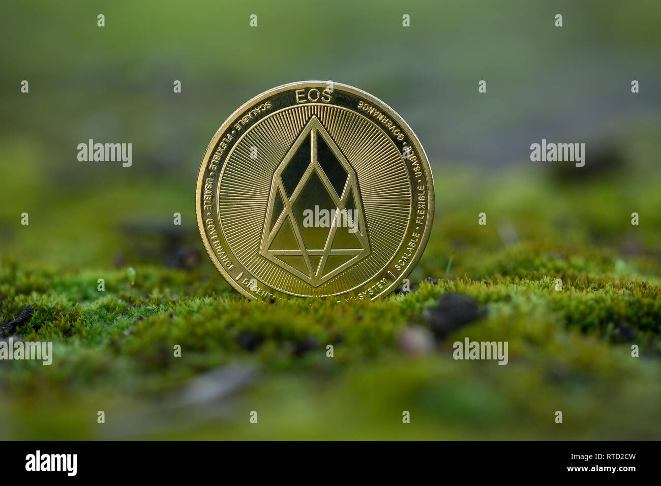 Eos cryptocurrency physical coin placed on the moss in the center of the frame. Stock Photo