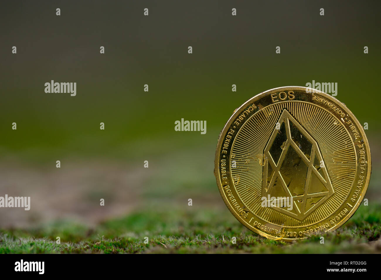 Eos cryptocurrency physical coin placed on the moss in the right side of the frame. Macro shot. Stock Photo